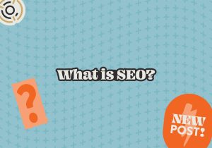 what is search engine optimization or SEO